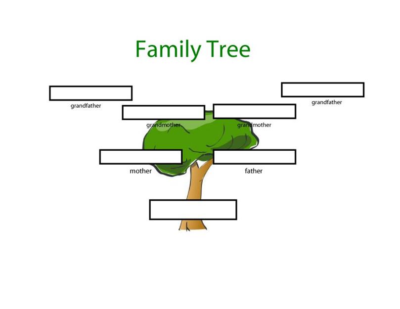 create my family tree