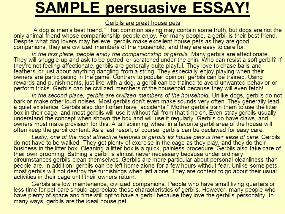 how to end a persuasive essay example